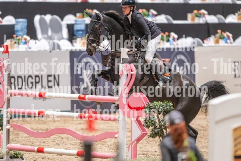 20241020-093708-2024-10-20-09-37-09-46-NIKON-Z-9