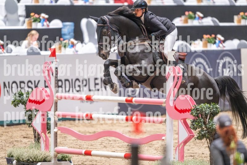 20241020-093708-2024-10-20-09-37-09-56-NIKON-Z-9