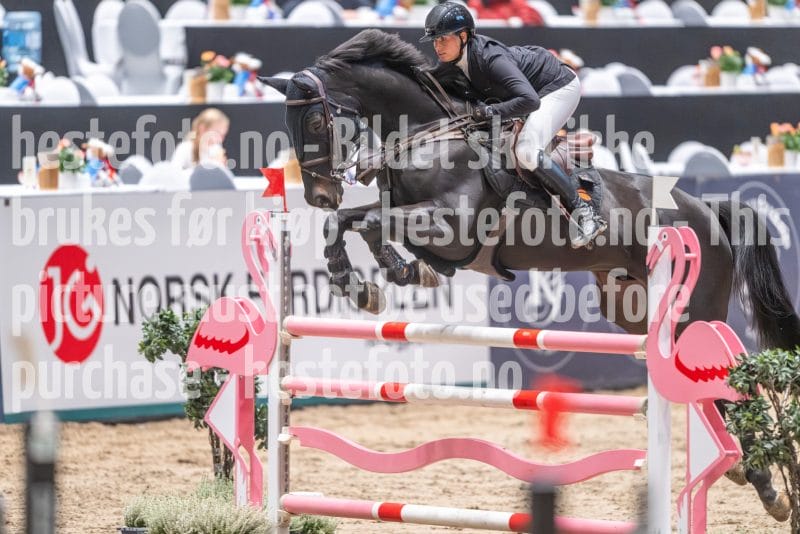 20241020-093708-2024-10-20-09-37-09-66-NIKON-Z-9