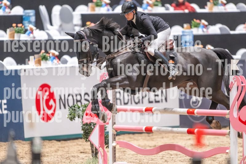 20241020-093708-2024-10-20-09-37-09-76-NIKON-Z-9