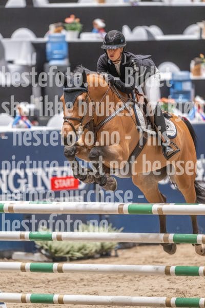 20241020-093821-2024-10-20-09-38-22-33-NIKON-Z-9