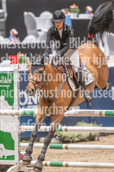 20241020-093821-2024-10-20-09-38-22-58-NIKON-Z-9