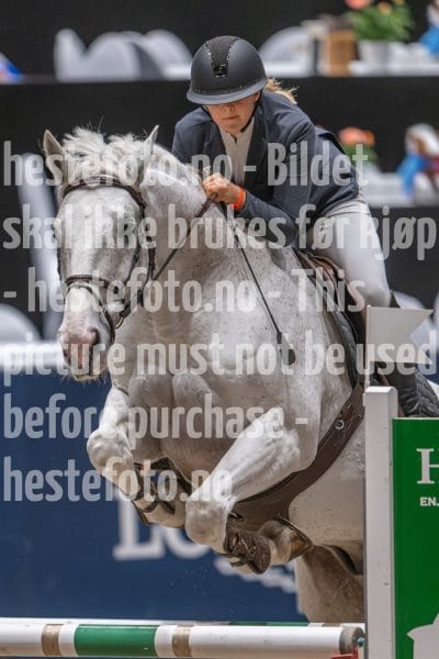 20241020-093936-2024-10-20-09-39-37-77-NIKON-Z-9