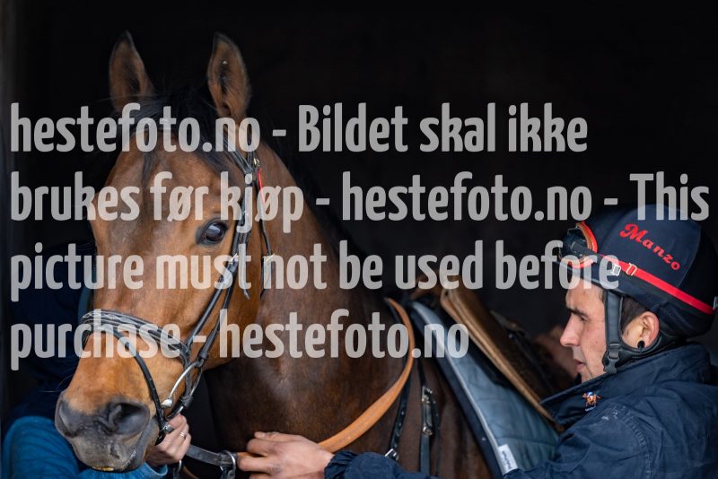 20220409-124807-DSC8372