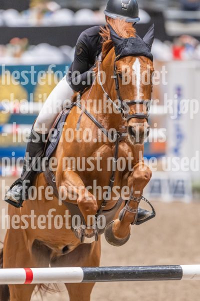 20241020-102605-2024-10-20-10-26-06-42-NIKON-Z-9