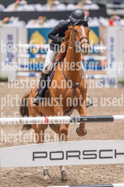 20241020-102605-2024-10-20-10-26-05-27-NIKON-Z-9