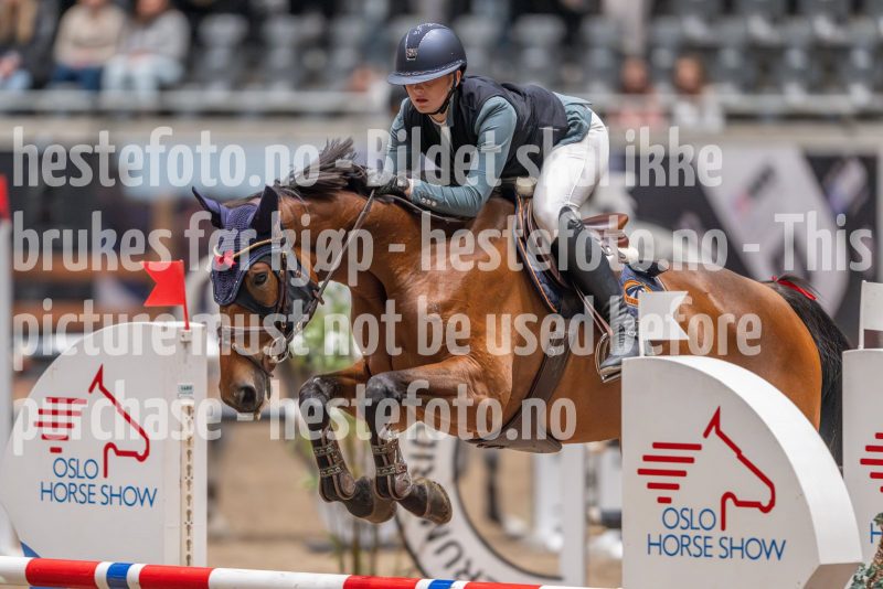 20241020-102703-2024-10-20-10-27-03-01-NIKON-Z-9