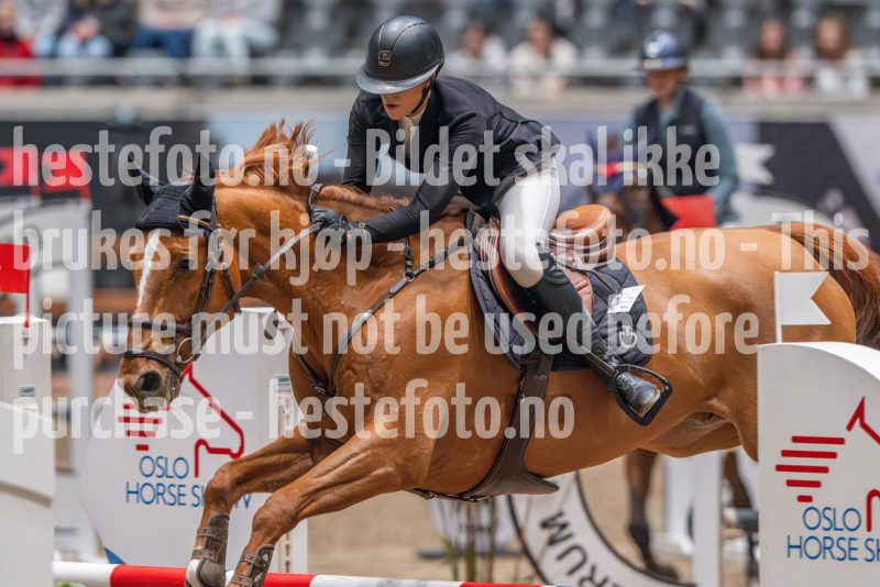 20241020-102629-2024-10-20-10-26-30-48-NIKON-Z-9