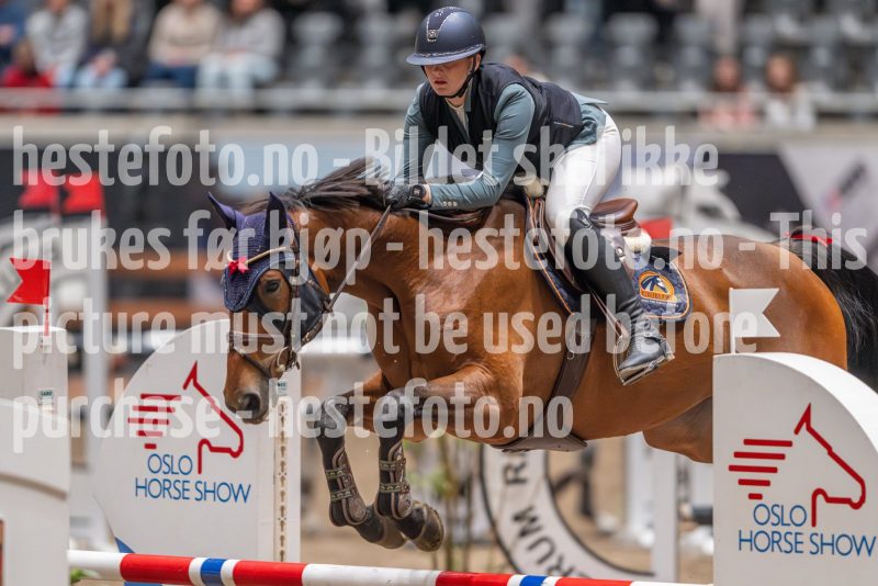 20241020-102703-2024-10-20-10-27-03-06-NIKON-Z-9