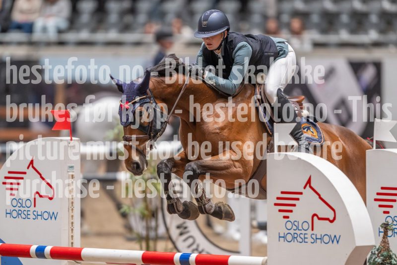 20241020-102702-2024-10-20-10-27-03-96-NIKON-Z-9