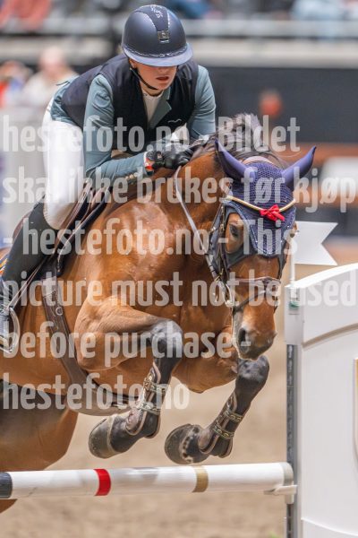 20241020-102805-2024-10-20-10-28-05-01-NIKON-Z-9