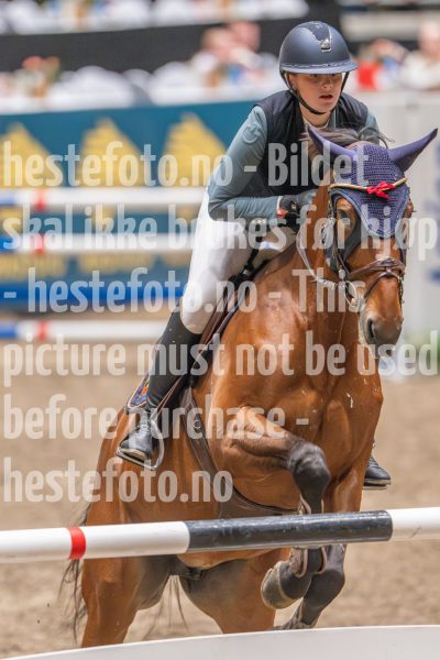 20241020-102804-2024-10-20-10-28-05-76-NIKON-Z-9