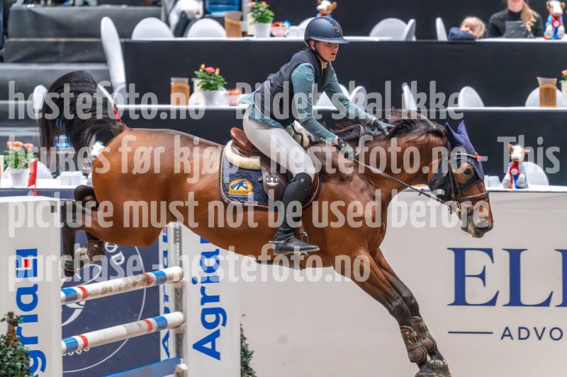 20241020-102809-2024-10-20-10-28-10-37-NIKON-Z-6-2