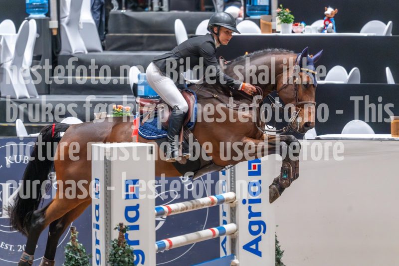 20241020-103124-2024-10-20-10-31-25-59-NIKON-Z-6-2