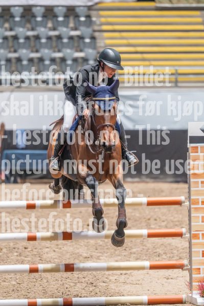 20241020-103148-2024-10-20-10-31-49-39-NIKON-Z-6-2