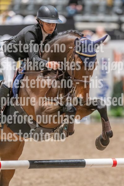 20241020-103206-2024-10-20-10-32-07-86-NIKON-Z-9