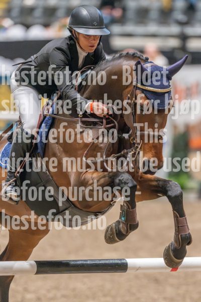 20241020-103206-2024-10-20-10-32-07-91-NIKON-Z-9