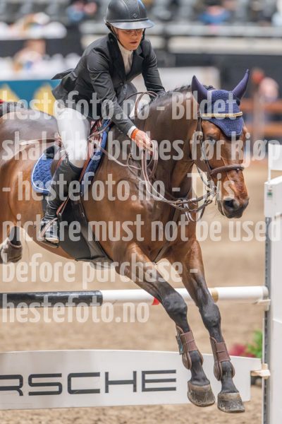 20241020-103207-2024-10-20-10-32-08-07-NIKON-Z-9