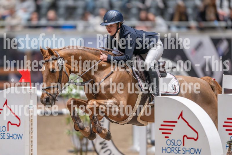 20241020-103831-2024-10-20-10-38-31-39-NIKON-Z-9