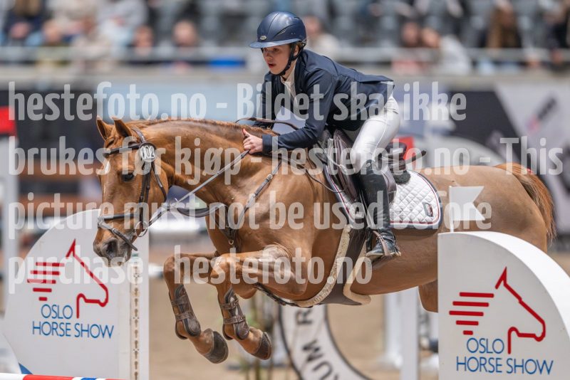 20241020-103831-2024-10-20-10-38-32-44-NIKON-Z-9
