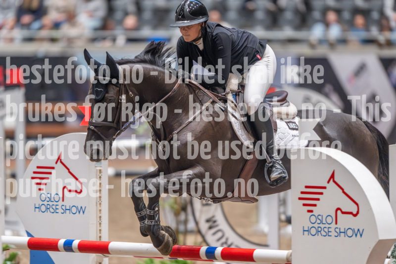 20241020-104612-2024-10-20-10-46-12-39-NIKON-Z-9