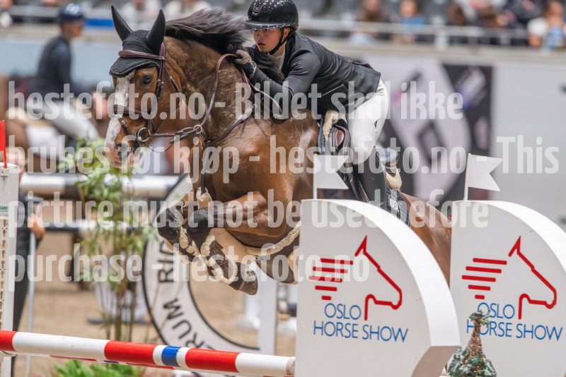 20241020-105123-2024-10-20-10-51-23-20-NIKON-Z-9
