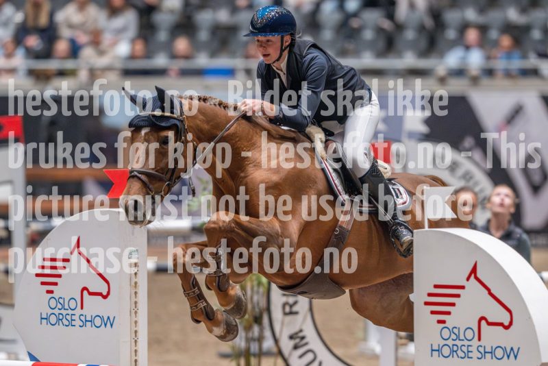 20241020-105451-2024-10-20-10-54-51-09-NIKON-Z-9
