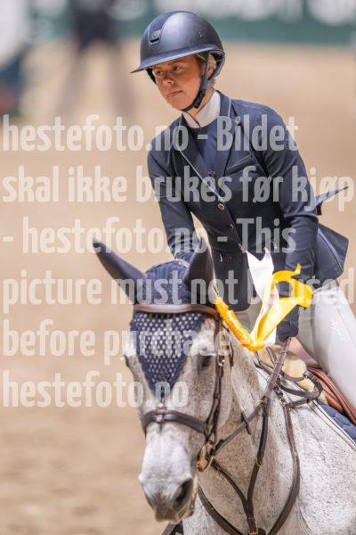 20241020-110310-2024-10-20-11-03-11-80-NIKON-Z-9