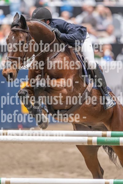 20241020-172710-2024-10-20-17-27-10-09-NIKON-Z-9