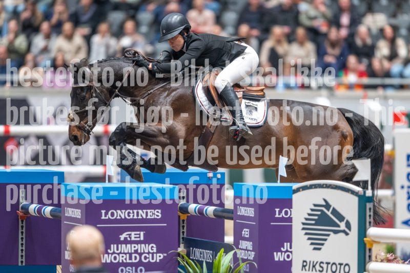 20241020-153859-2024-10-20-15-39-00-37-NIKON-Z-9