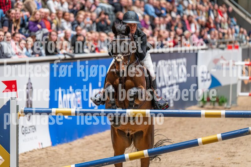 20241020-153953-2024-10-20-15-39-54-46-NIKON-Z-6-2