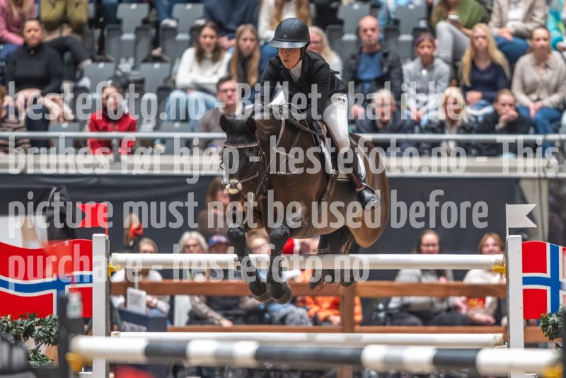 20241020-153955-2024-10-20-15-39-56-94-NIKON-Z-9