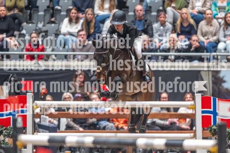 20241020-153955-2024-10-20-15-39-56-84-NIKON-Z-9
