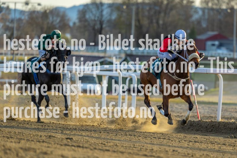 20220421-191012-DSC0046