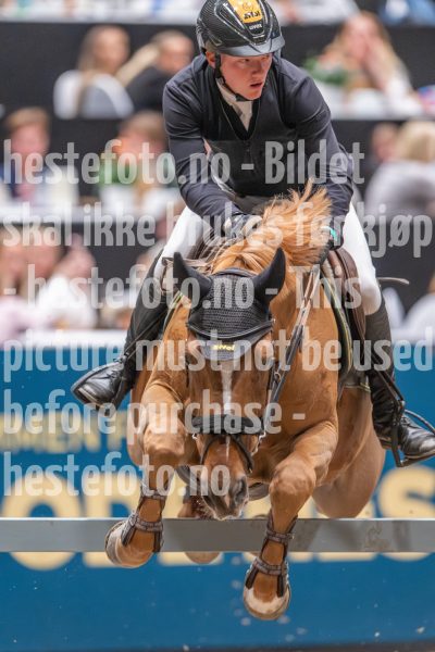 20241020-154626-2024-10-20-15-46-27-80-NIKON-Z-9