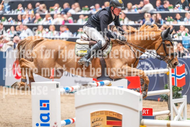 20241020-154645-2024-10-20-15-46-46-47-NIKON-Z-6-2