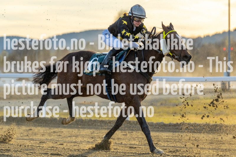 20220421-191016-DSC0063
