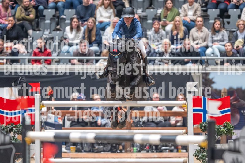 20241020-154918-2024-10-20-15-49-18-03-NIKON-Z-9