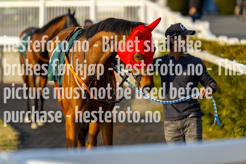 20220421-191752-DSC0150