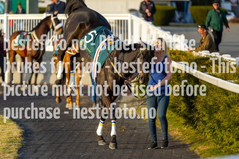 20220421-191959-DSC0198