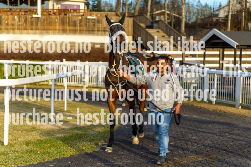 20220421-192256-DSC0248
