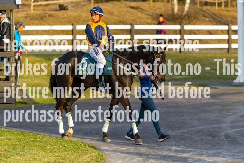 20220421-192634-DSC0291