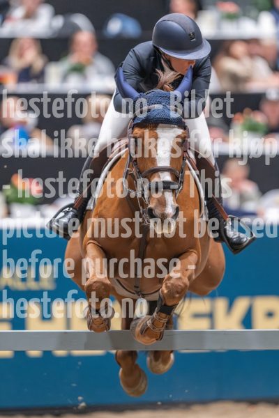20241020-160454-2024-10-20-16-04-55-79-NIKON-Z-9