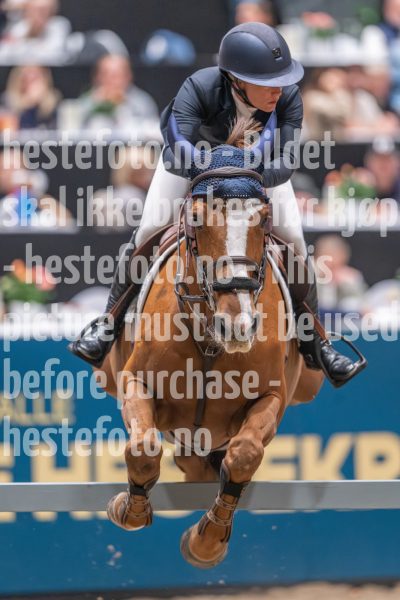 20241020-160454-2024-10-20-16-04-55-84-NIKON-Z-9