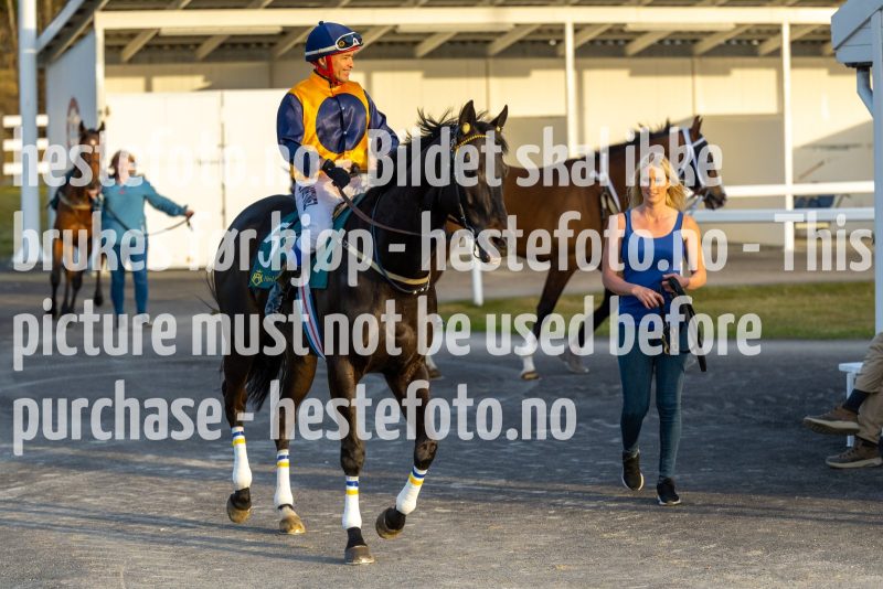 20220421-192831-DSC0330
