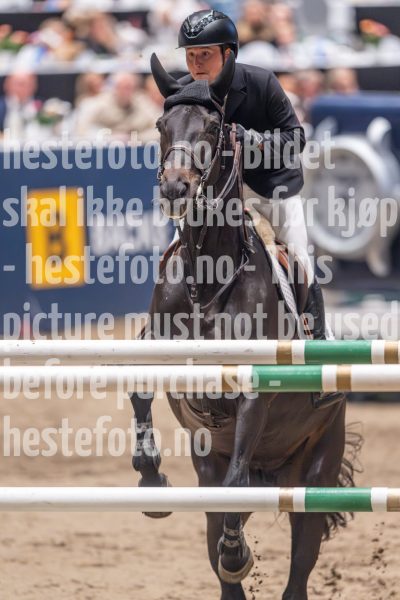20241020-160943-2024-10-20-16-09-43-66-NIKON-Z-9-2