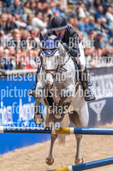 20241020-161408-2024-10-20-16-14-09-18-NIKON-Z-6-2
