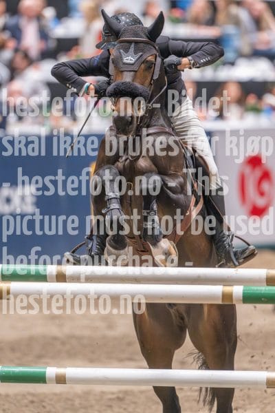 20241020-162437-2024-10-20-16-24-37-55-NIKON-Z-9