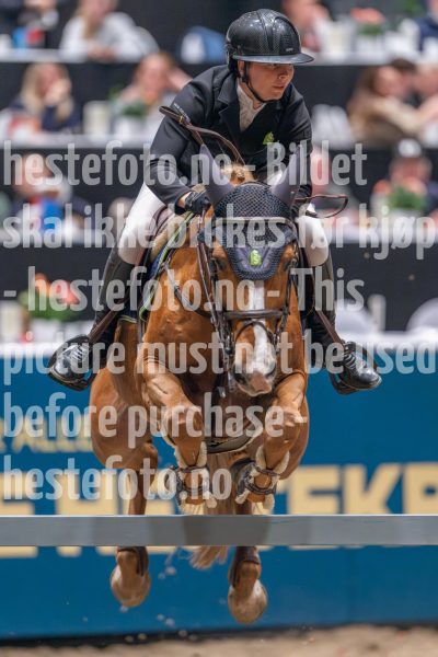 20241020-163036-2024-10-20-16-30-36-04-NIKON-Z-9