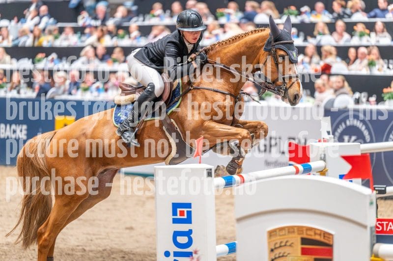 20241020-163054-2024-10-20-16-30-55-95-NIKON-Z-6-2